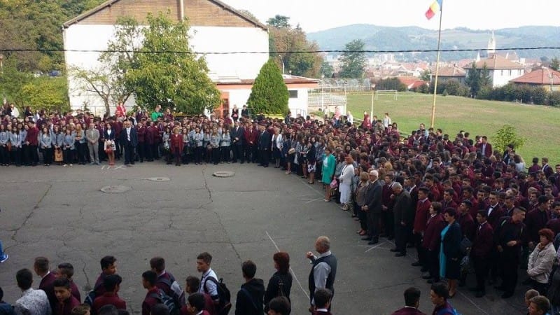 eleviiii