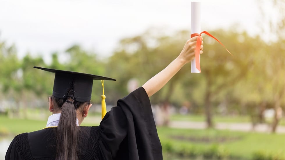 studeni facultate buget