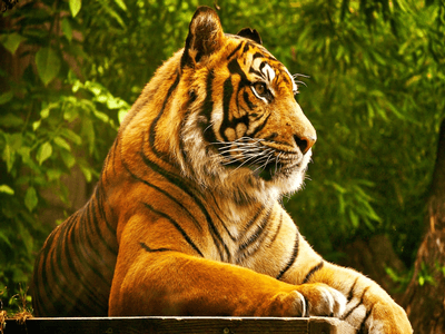 De Paști, Zoo Pitești este deschisă spre vizitare!