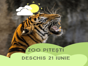 Grădina ZOO din Trivale este deschisă în a doua zi de Rusalii