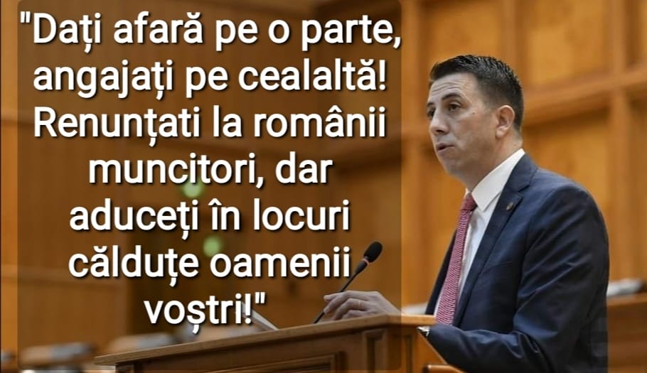 Nicolae Georgescu carton disponibilizari