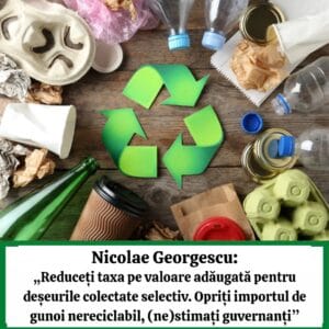 Nicolae Georgescu deseuri