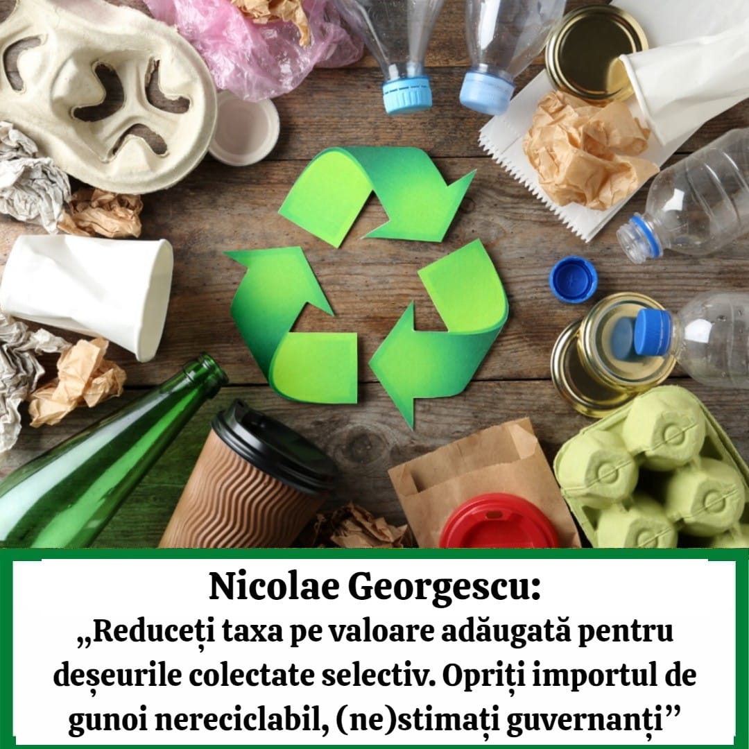 Nicolae Georgescu deseuri