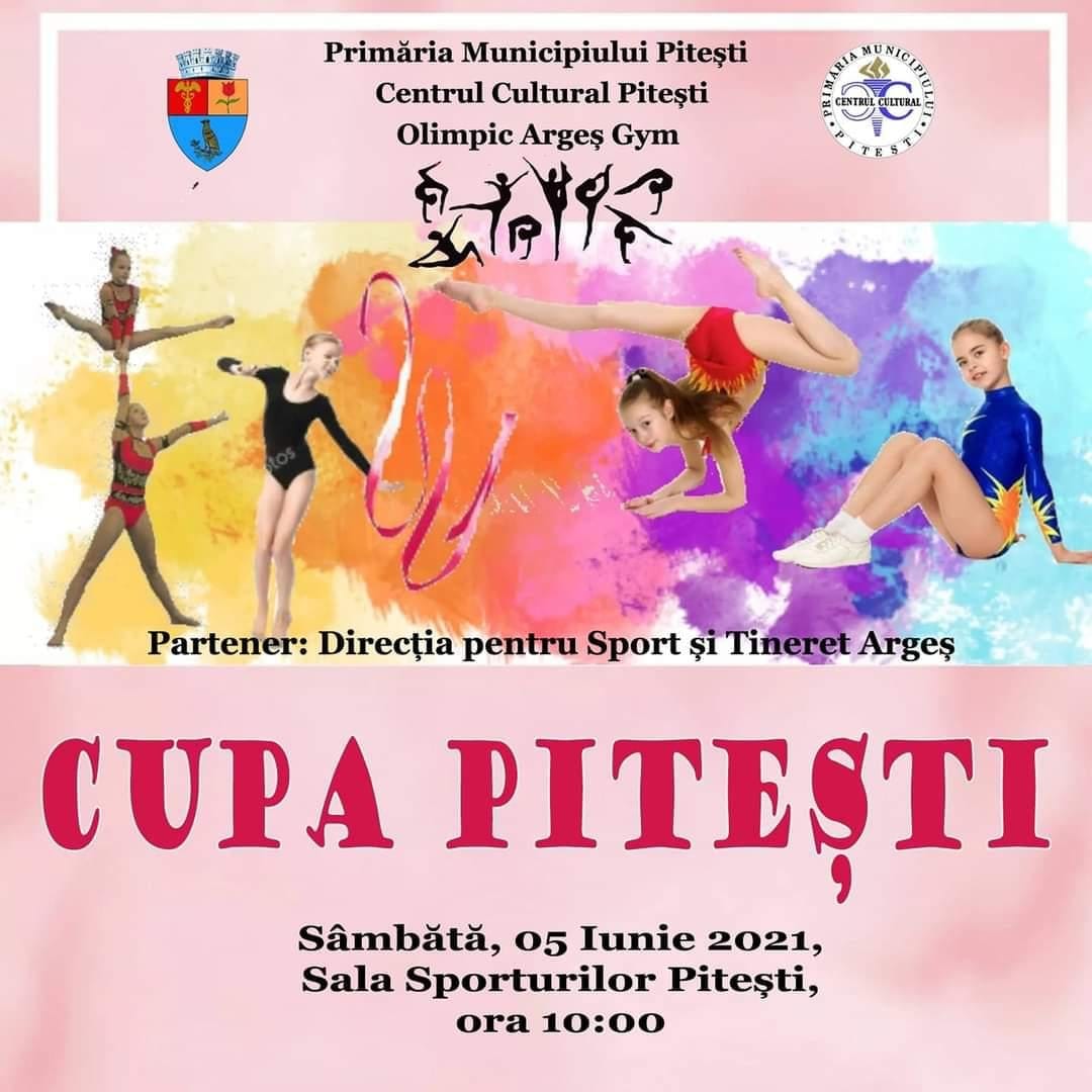 concurs dans pitesti