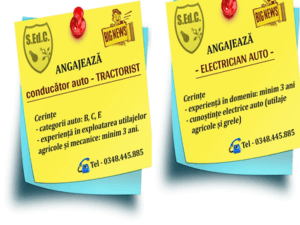 Servicii Edilitare pentru Comunitate Mioveni angajează
