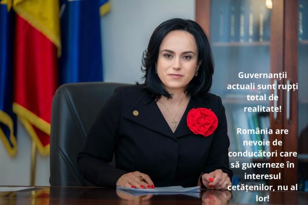 Carton Simona Bucura Oprescu realitatile Romaniei