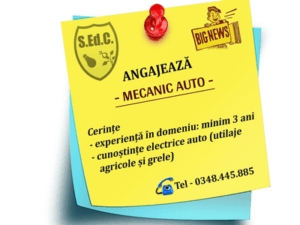 S.Ed.C. Mioveni angajează mecanic auto