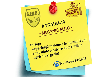 S.Ed.C. Mioveni angajează mecanic auto