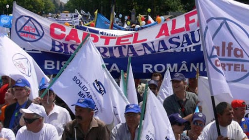 cartel alfa
