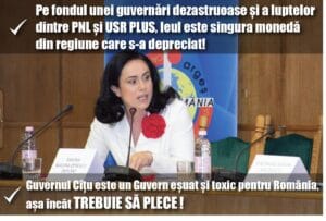 carton SBO leu