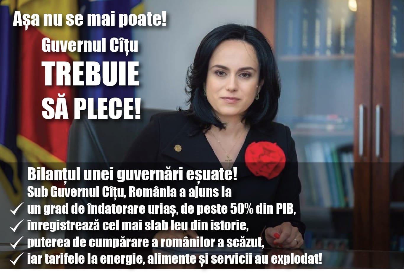 carton bilant sbo