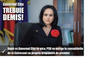 carton guvern sbo
