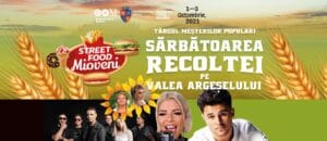 recolta mioveni