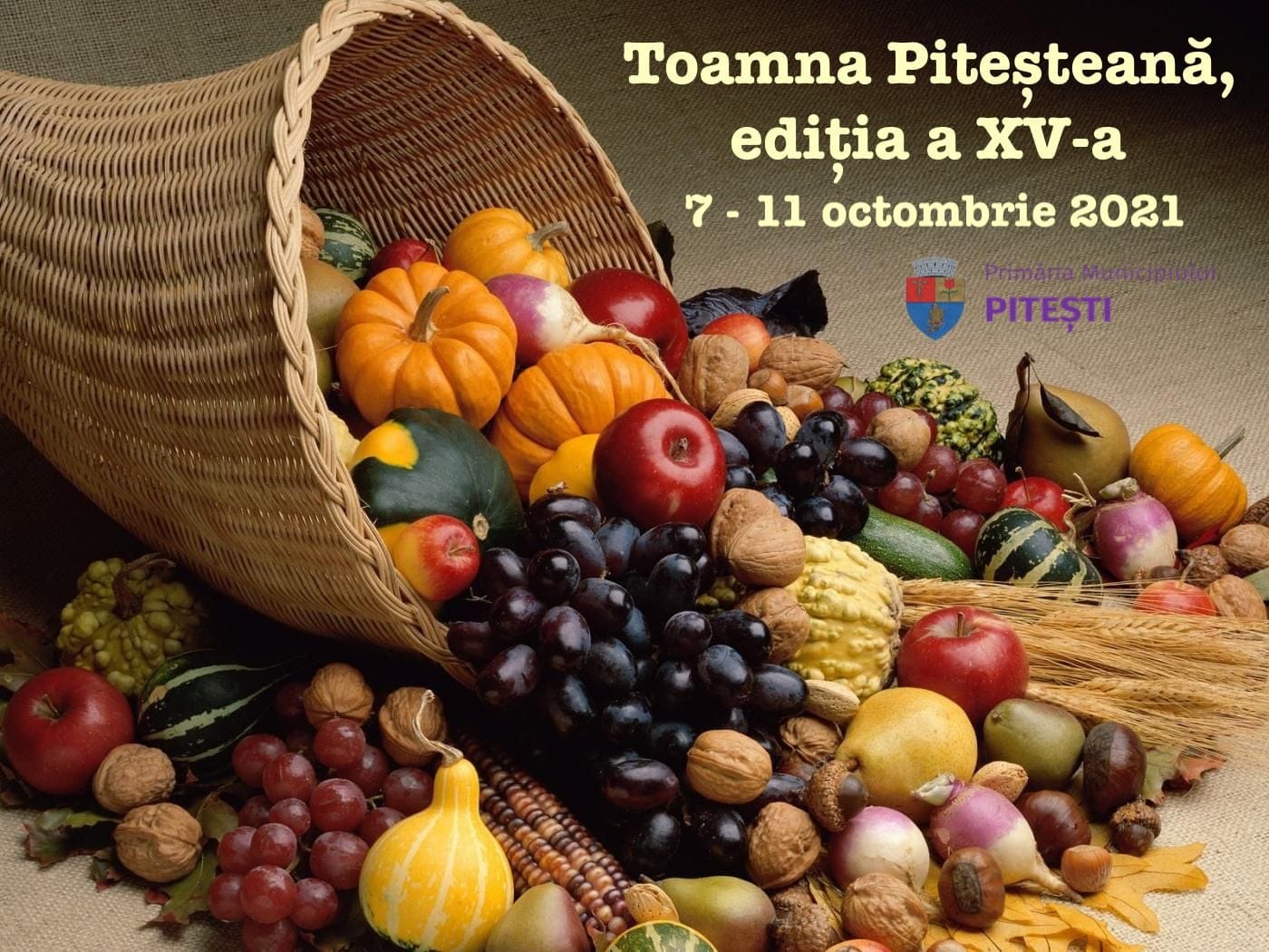 toamna pitesteana afis