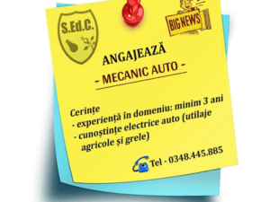 S.Ed.C Mioveni angajează mecanic auto
