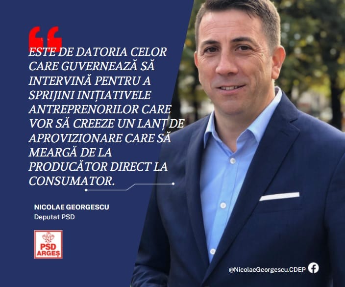 N Georgescu antreprenori