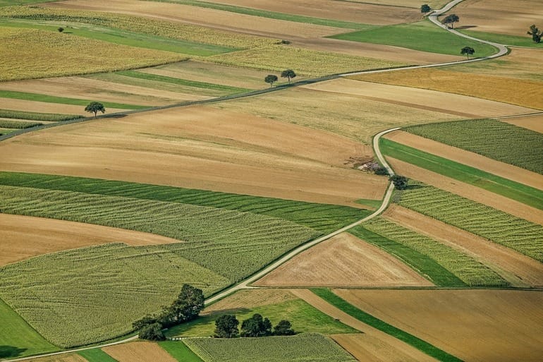 agriculture 3195381 1280