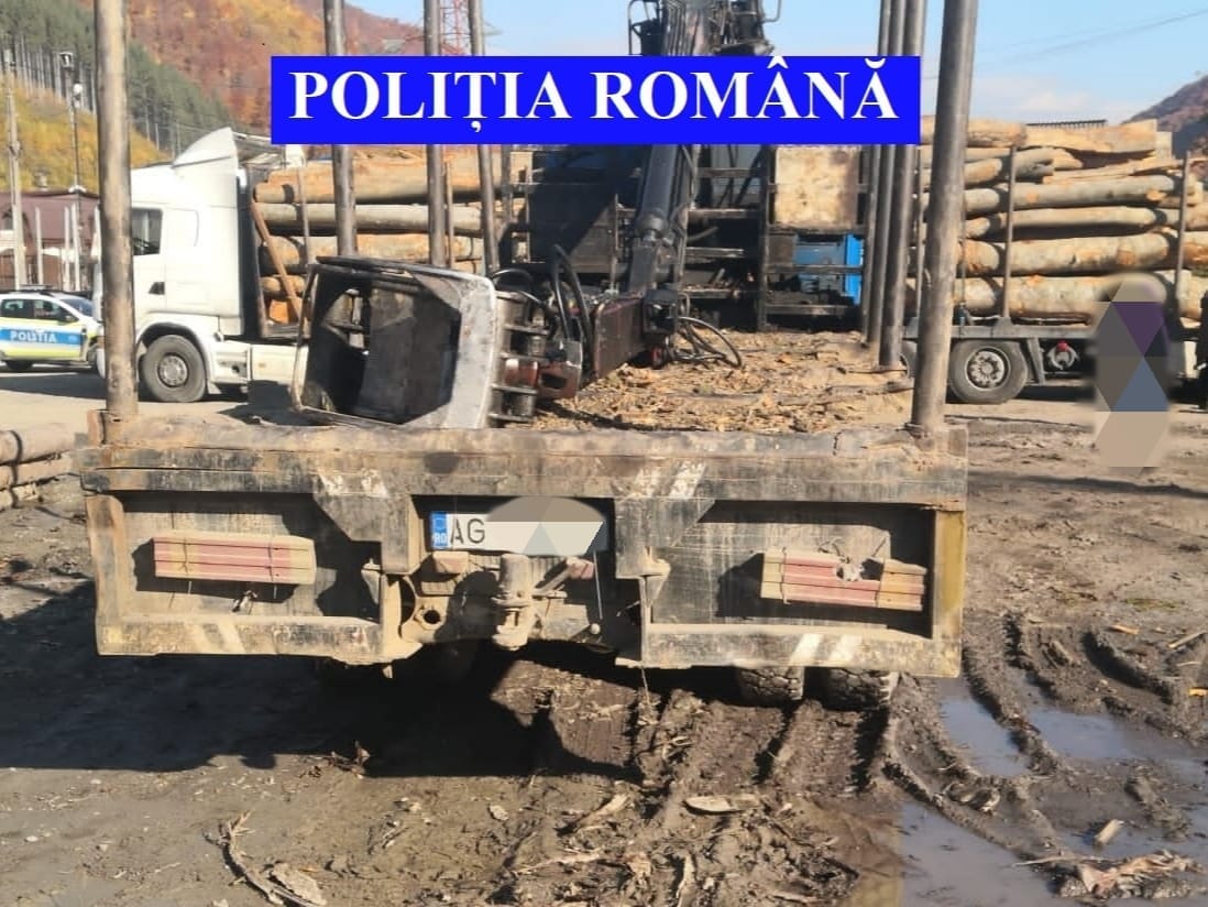 camion lemne