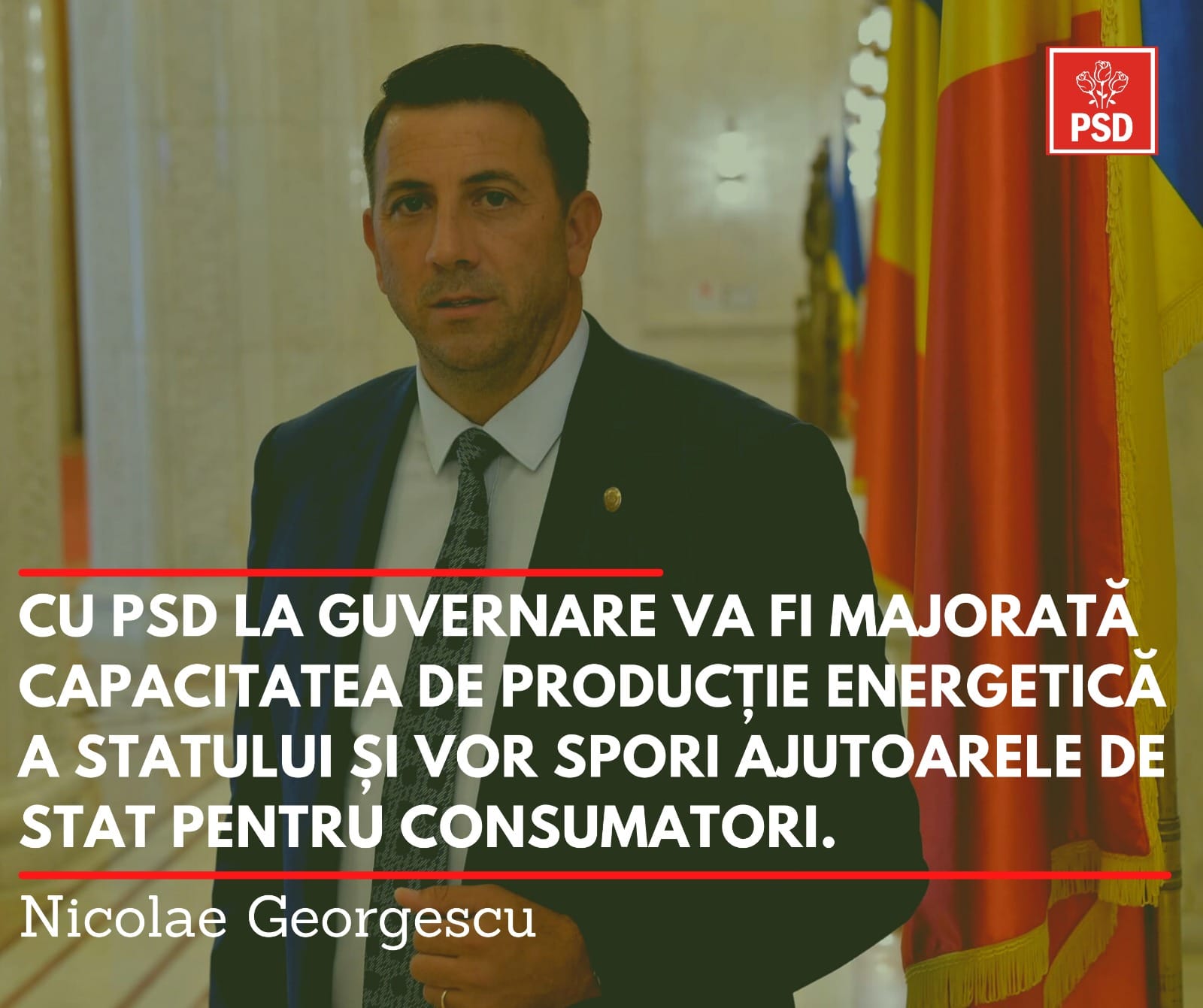 N Georgescu energie