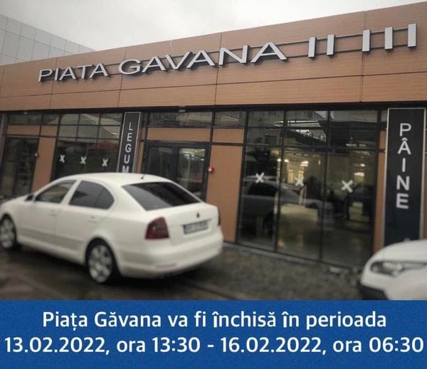 gavana piata